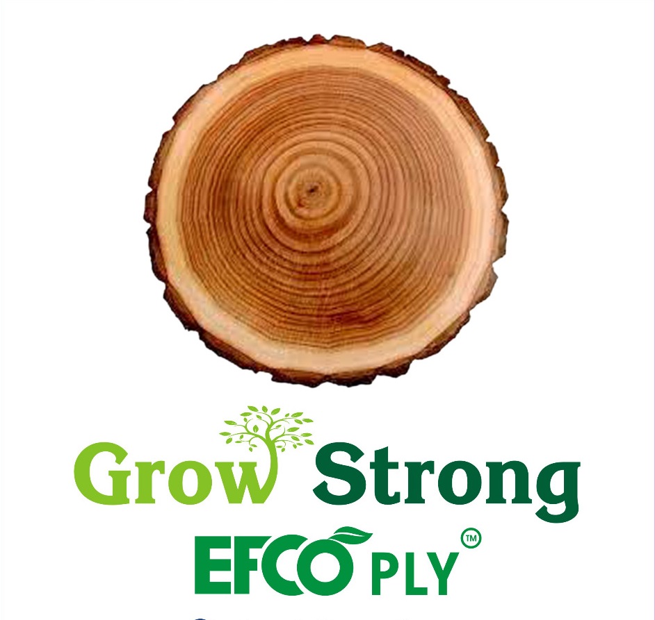 Efco ply